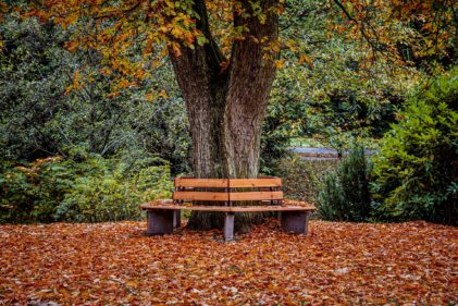 Musings: Progress or Regress