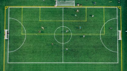 Mid Year Goal Review